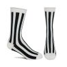 Iconics 10 Men's Sock
