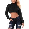 Women's Turtleneck Long Sleeve Knit Pullover Crop Sweater