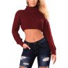 Women's Turtleneck Long Sleeve Knit Pullover Crop Sweater