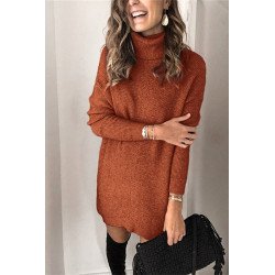 Turtleneck Long Sleeve Sweater Dress