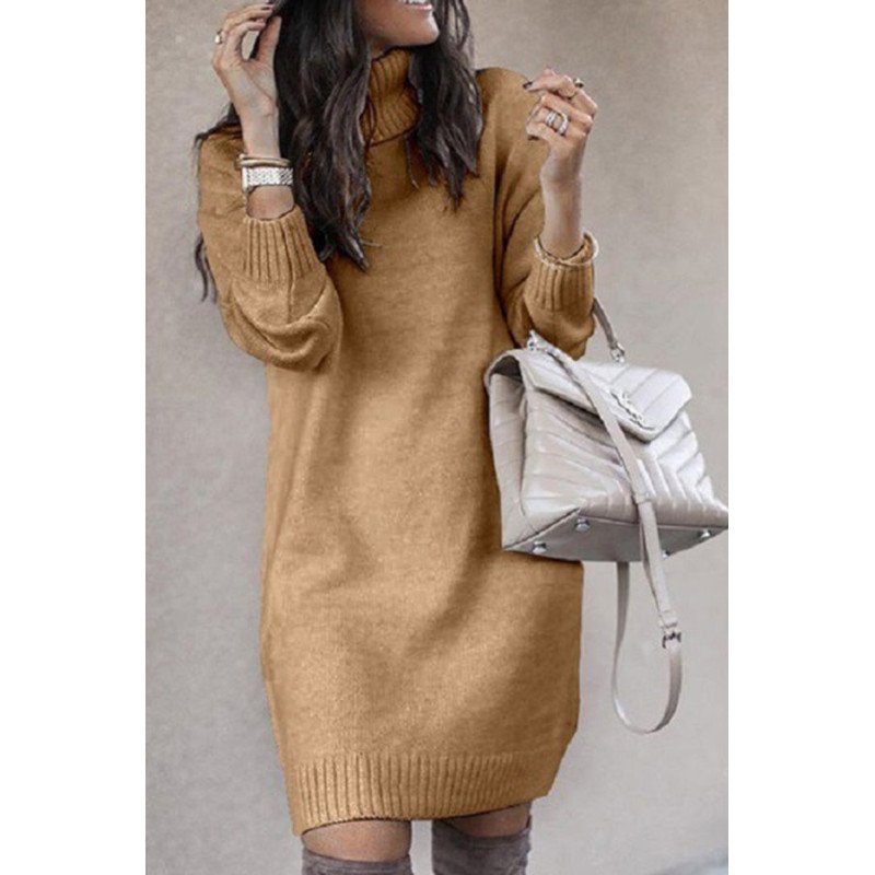 Long Sleeve Plain Turtle Neck Sweater Dress
