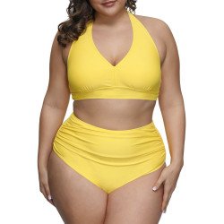 Women's Plus Size Two Piece Halter High Waist Tummy Control Bathing Suit