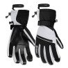 Thinsulate Waterproof Ski Gloves S2 8 Black/White