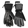 Thinsulate Waterproof Ski Gloves S2 6 Black/Gray