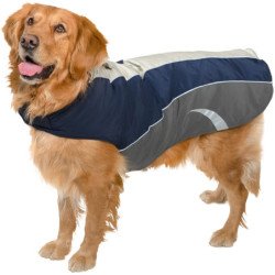 KingCamp Dog Coat for Winter Waterproof Dog Winter Jackets with Reflective for Small Medium Large Dogs-Blue-L